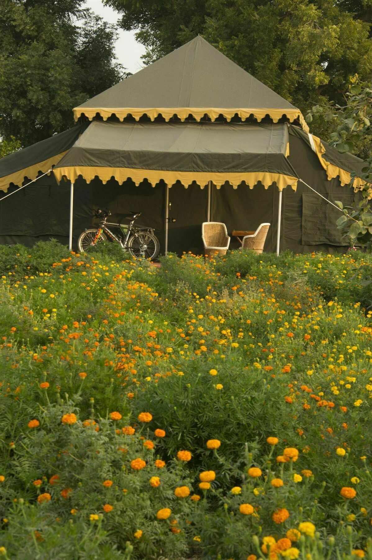 Orchard Tents & Tranquility Πουσκάρ Εξωτερικό φωτογραφία